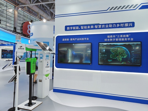福鼎市數(shù)字茶園 | 數(shù)智賦能助力茶產(chǎn)業(yè)走出新道路